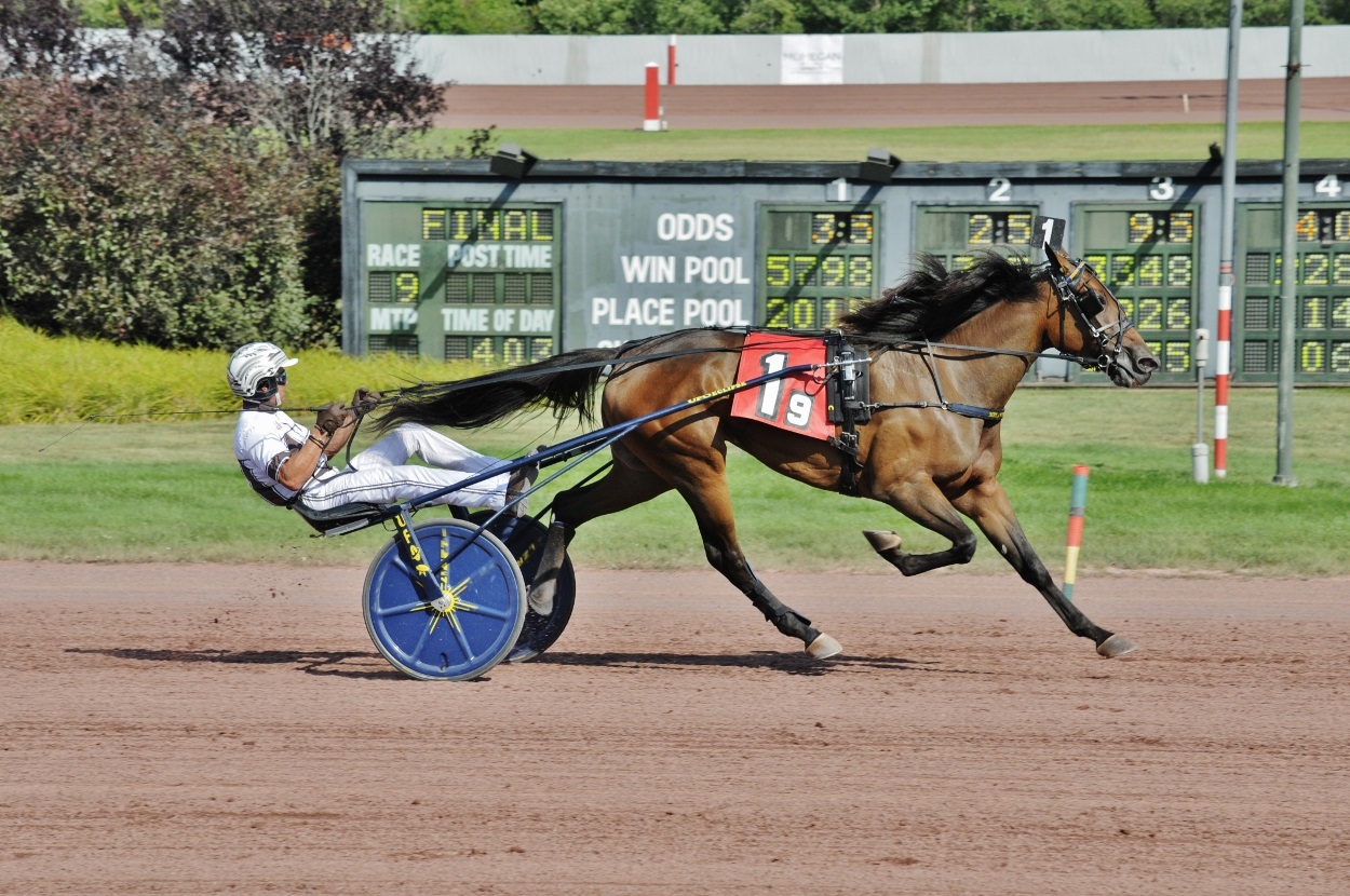 Joviality-S-Curtis-Salonick.jpg