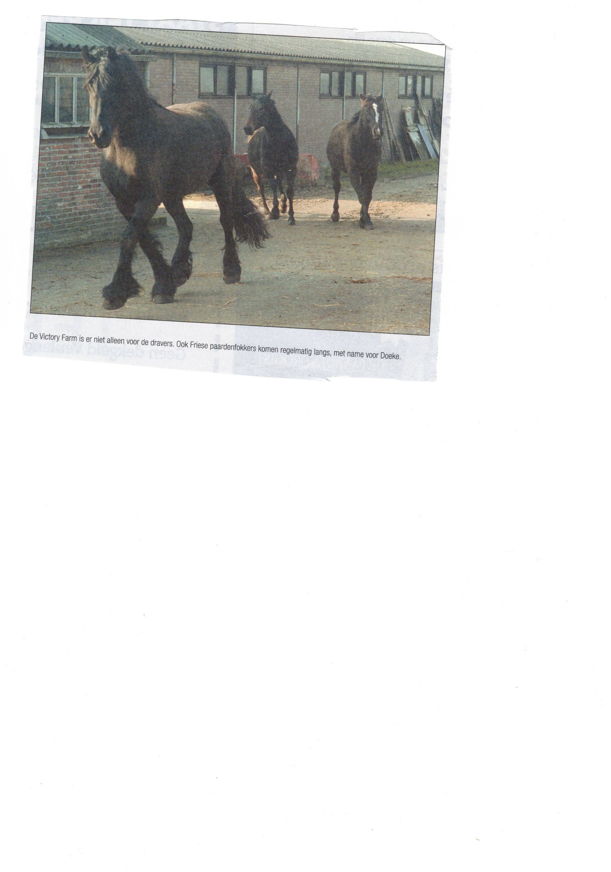 Scan2022-12-31_191814.jpg