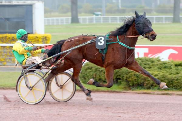 MD_00186119-013-scoopdyga_HEMMA_DE_BRIKVIL (1).jpg