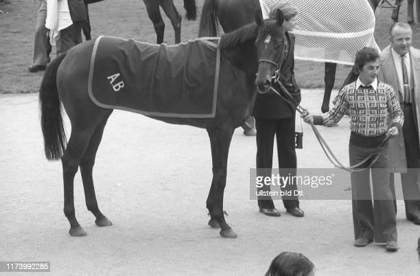 gettyimages-1173992285-612x612.jpg