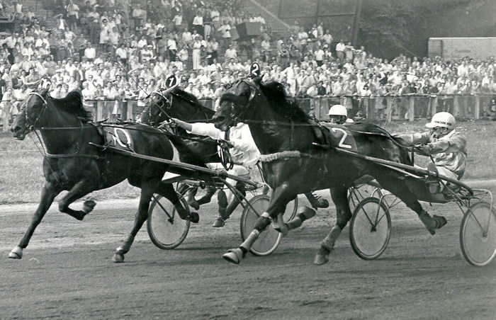 Jade 27-6-76.jpg