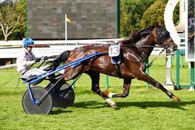 download - 2023-01-06T095740.266.jpg