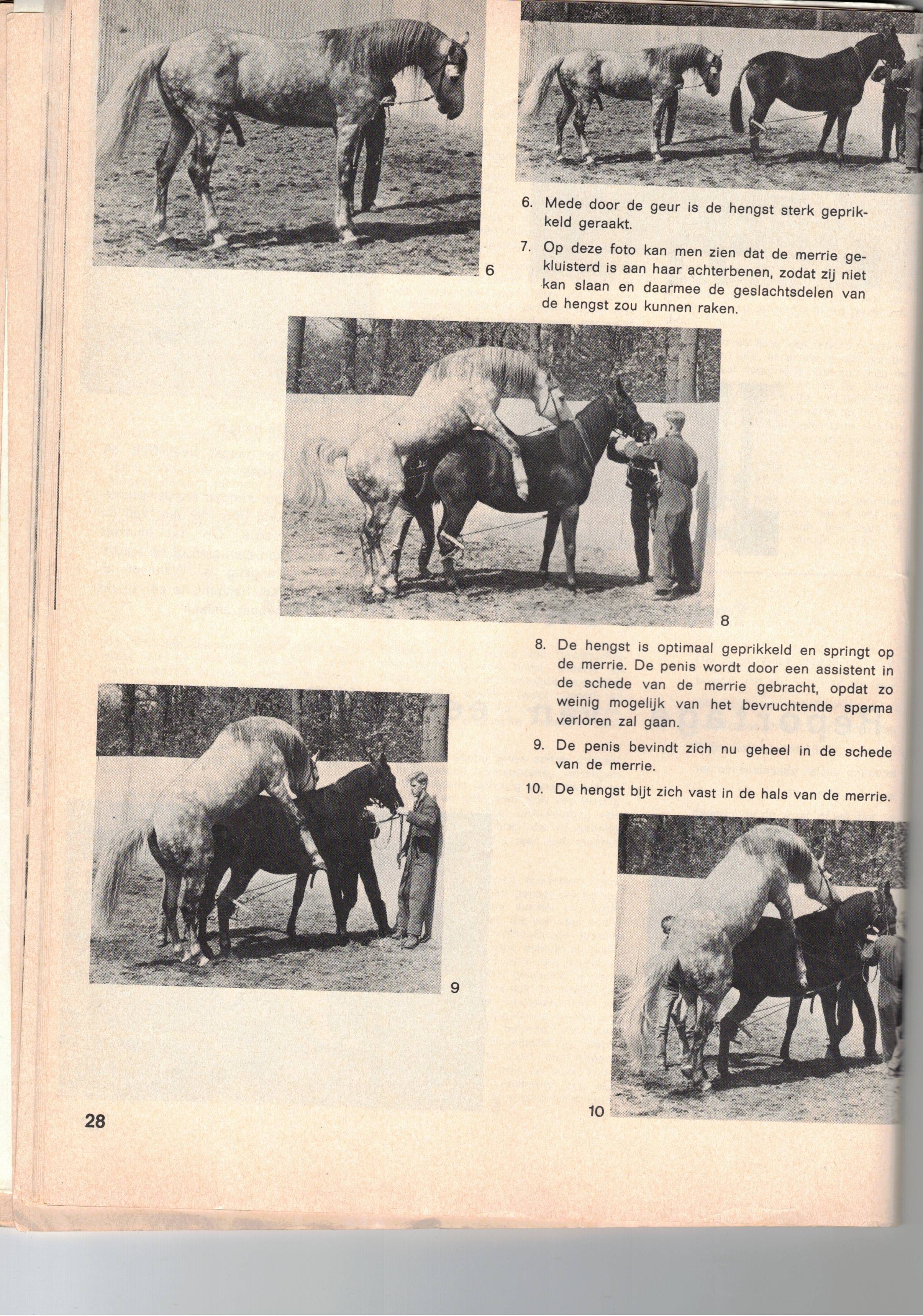 Scan2023-01-18_175541.jpg