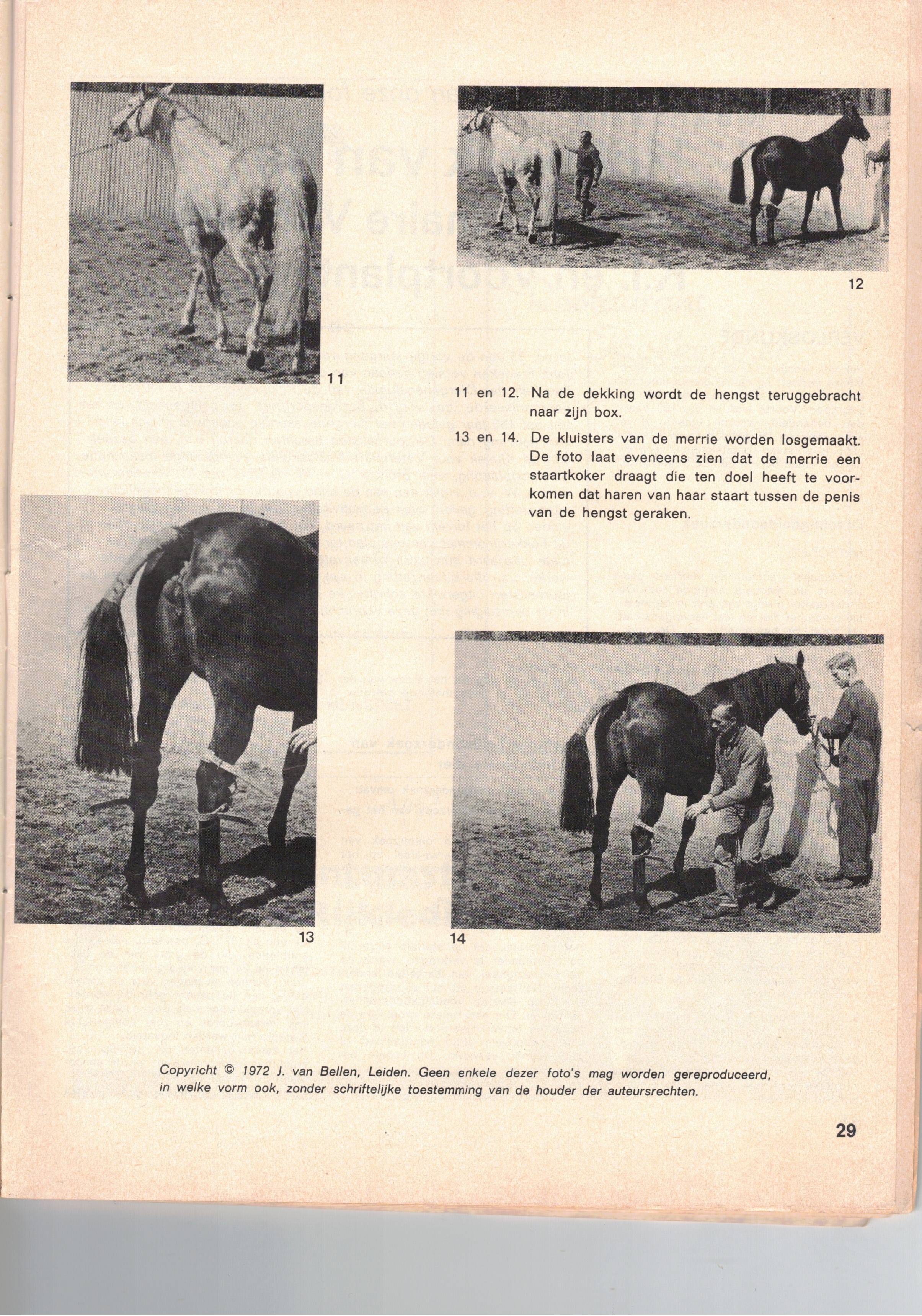 Scan2023-01-18_175646.jpg