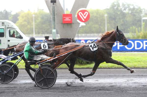 MD_00216213-010-scoopdyga_IRISH_NICE_ELGE (1).jpg