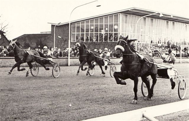 ANP Buick Magowan voor Brun Beer (1).jpg