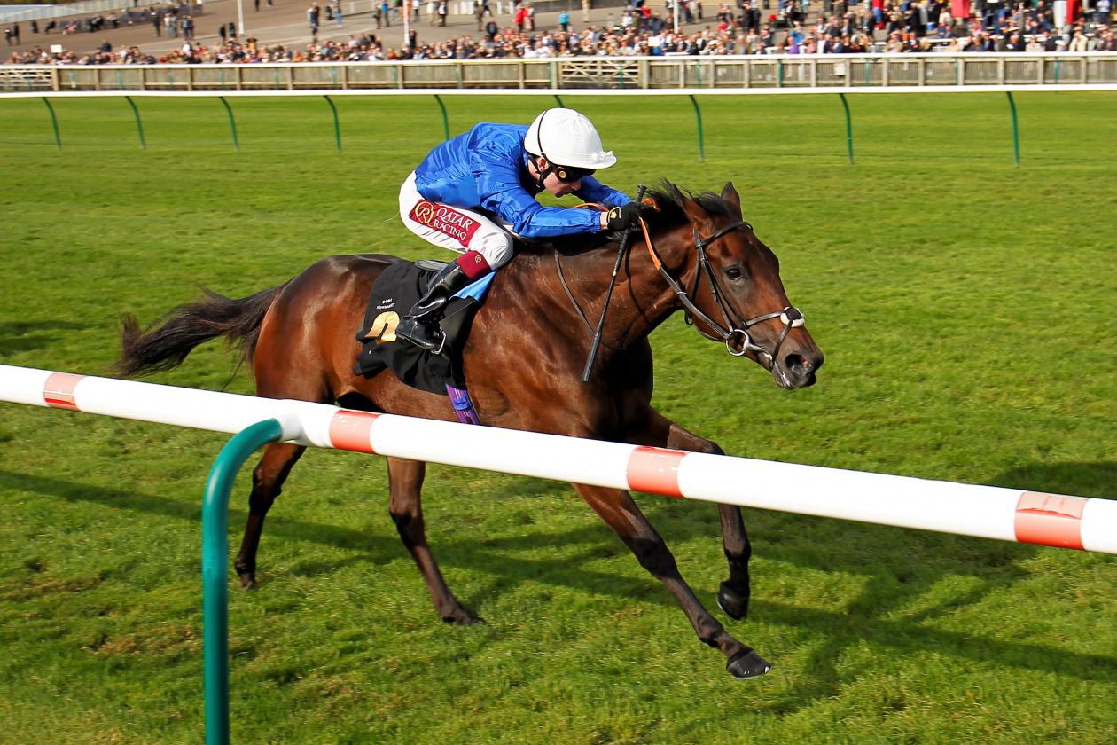 White Moonlight - 1st - Novice Stakes - Newmarket, UK - 05 October 2019 racingfotos_57282900849.jpg