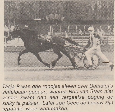 Tasja P.jpg