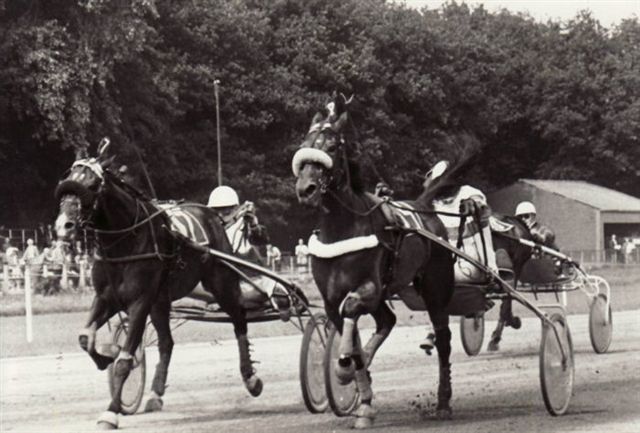 Lady Terraise 12-7-78.jpg