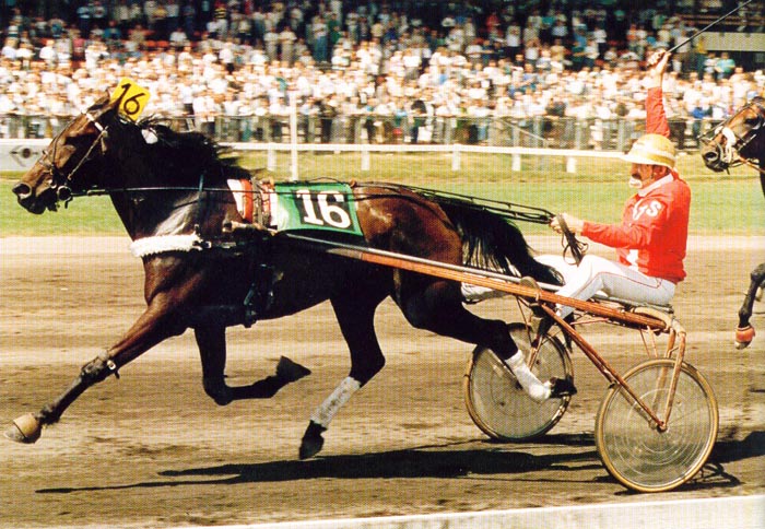 Bea di Tricia DerbyPr.jpg