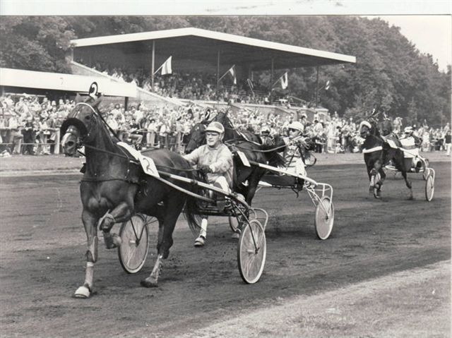 Lady Bird 7-8-77.jpg