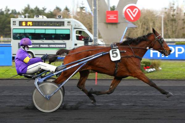 MD_00204084-016-scoopdyga_ENERISE_FLASH (1).jpg