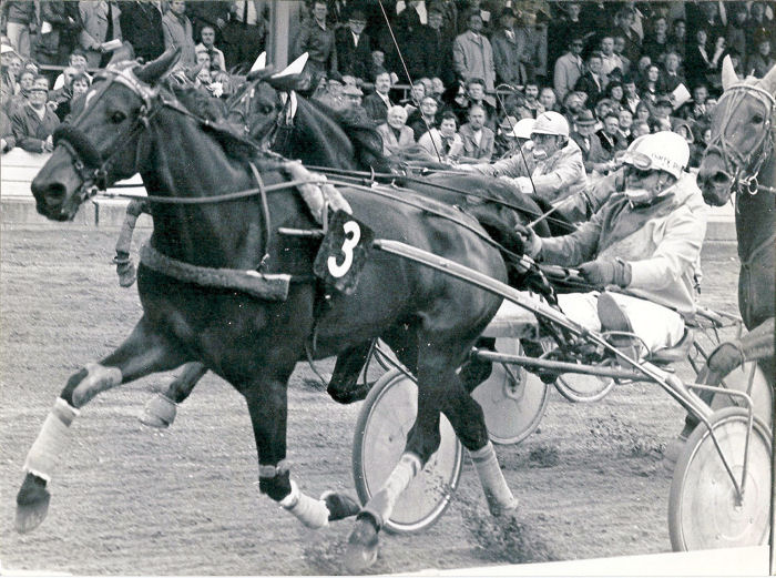 Lissy Alkmaars Gr Pinkster-prijs 77 (1).jpg
