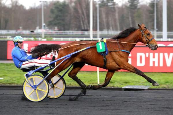 MD_00148357-012-scoopdyga_CITY_GUIDE (1).jpg