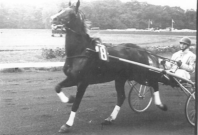 Goudvos Derby 4e (2).jpg