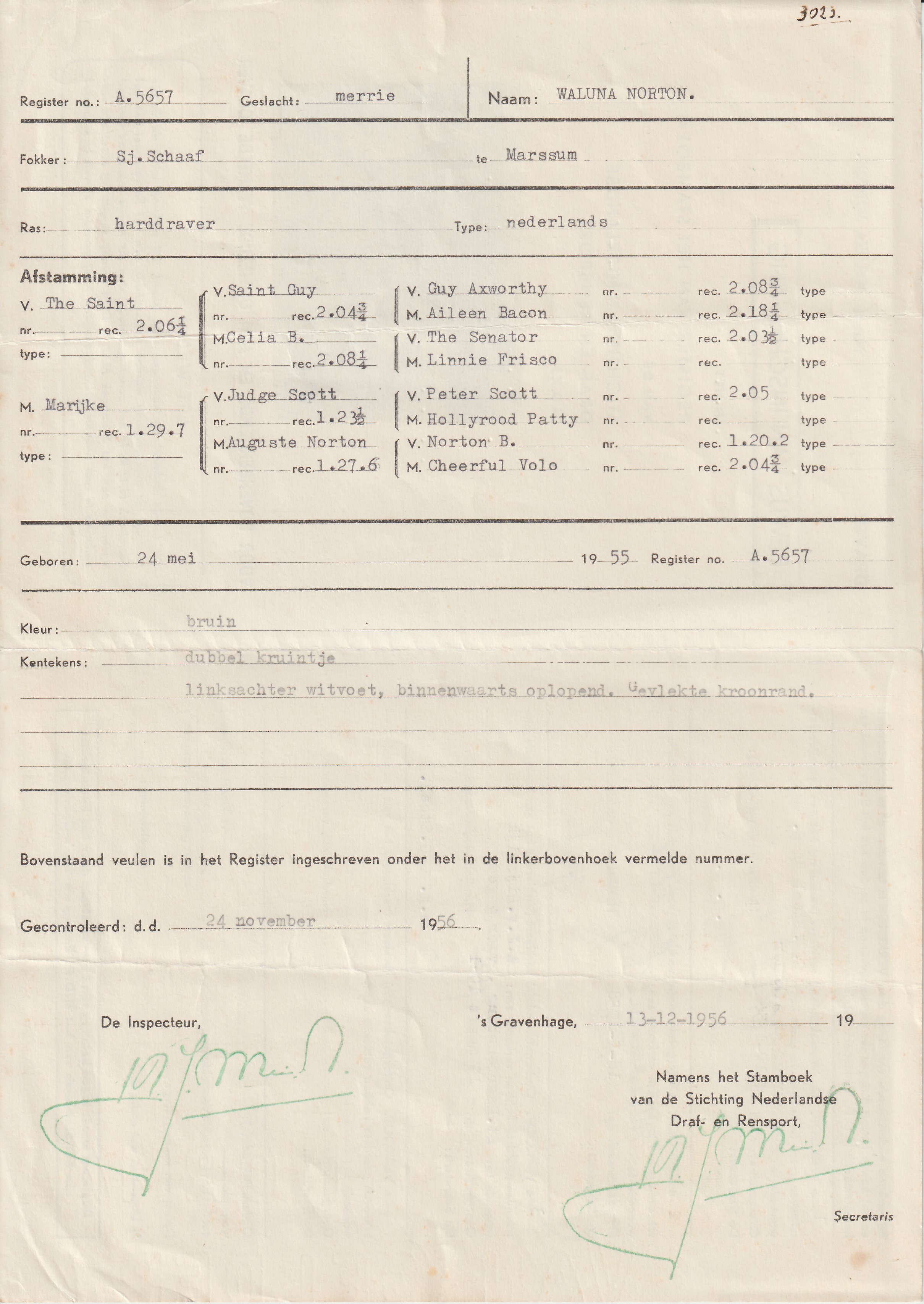21 Feb 1955 2.jpg