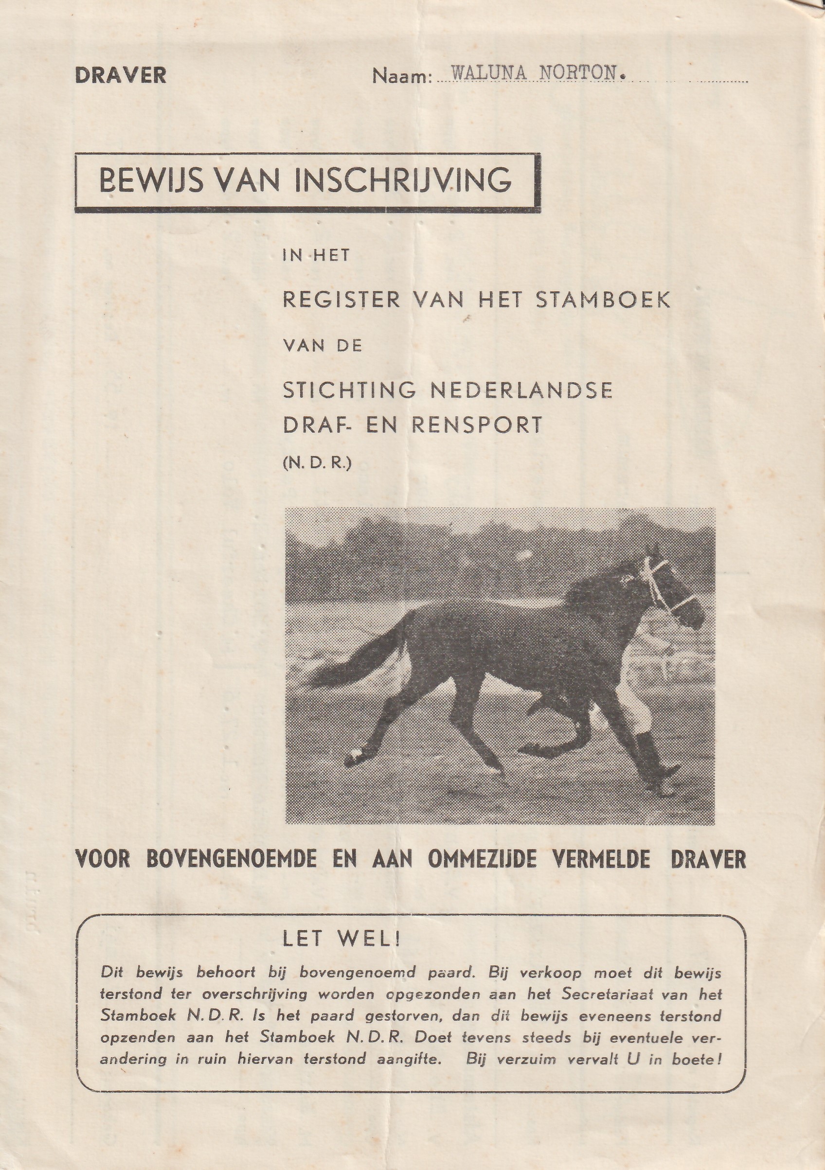 21 Feb 1955 1.jpg