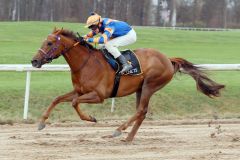 lion_hunter_mit_leon_wolff_gewinnt_221231sg923dortmund.jpeg