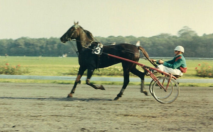 Diomedea S op 20-10-68.jpg