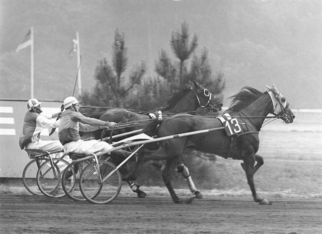 Grenadier 15-6-1969.jpg