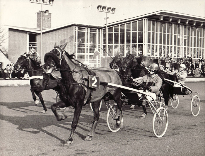 For Ever GPaard 72 (1).jpg