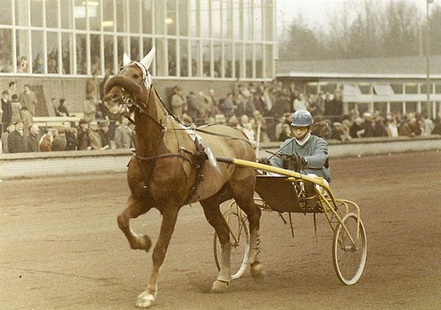 For Ever met Giel (1).jpg