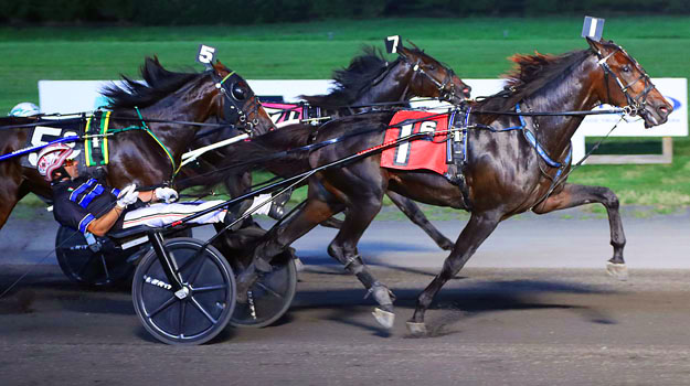 wb080522r6-Winners-Bet (1).jpg