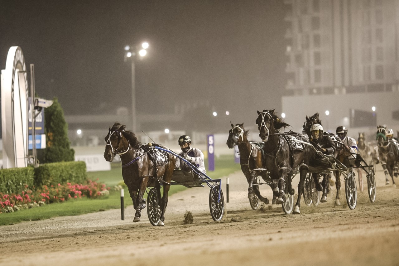 Merlin front on wins Harness MNillion night Alex Park 2022.jpg