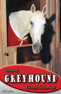 58749-Greyhound-Stall-Card-FB.jpg