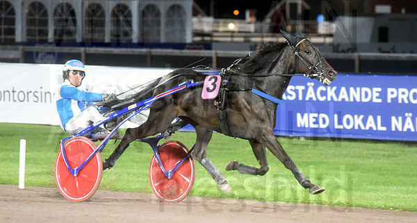 Tom Crowe mål.t631f7fb9.m600.w.4salnwmark2.png.xGECa3eXc (2).jpg