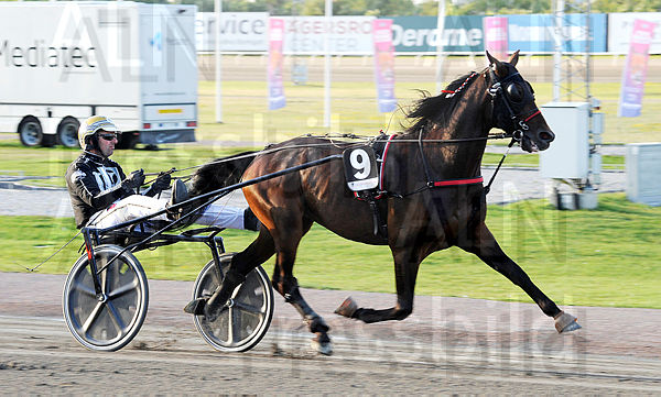 Kilimanjaro heat.t5f2129a5.m600.w.4salnwmark2.png.xRTCX-j1q (1).jpg