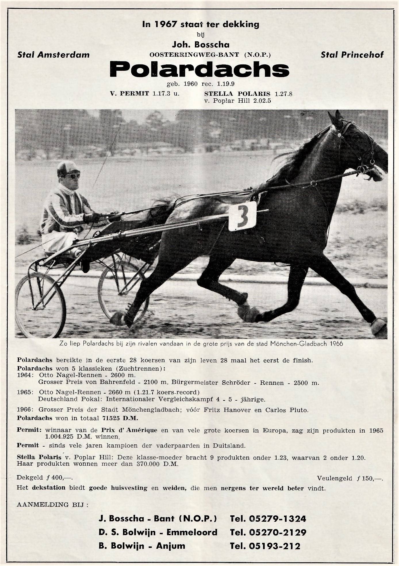 31 mrt 1966 Polardachs.jpg