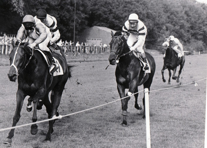 Kings Eagle St Leger 78 (1).jpg