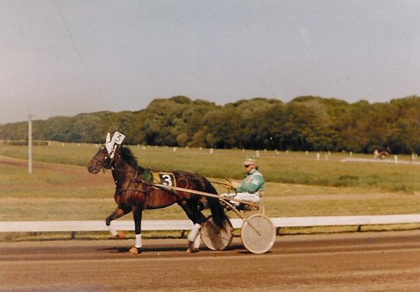 Vic Hanover 01.jpg