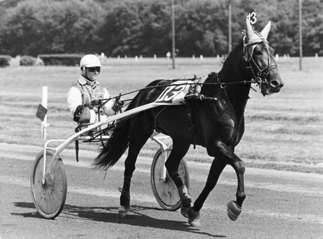 Vic Hanover.jpg