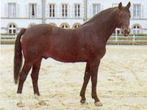 kimberland-jpg-480x360.jpg