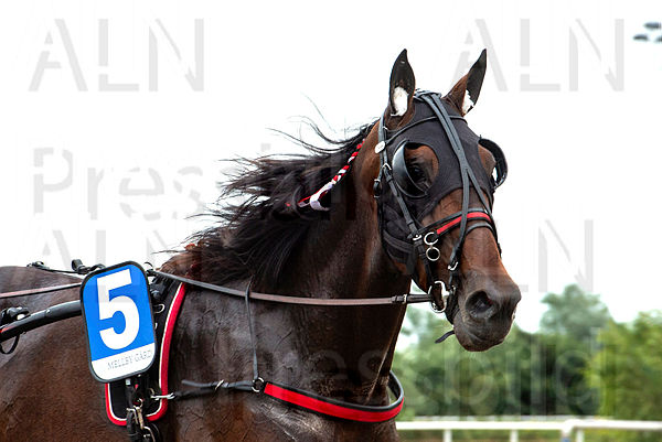 Noxx Vrijthout huvud.t5f0ddd2e.m600.w.4salnwmark2.png.x6iicVGCa (1).jpg