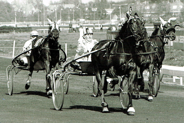 Lex Areta 17-4-74.jpg