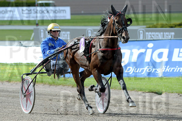 Diapason heat.t64242bd0.m600.w.4salnwmark2.png.xf3C3dRtZ.jpg