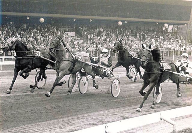 Scotch Oostwyck wint (2).jpg