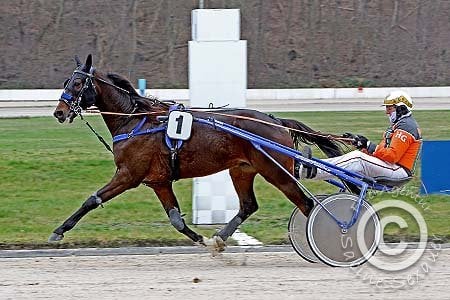 3500e overwinning voor Hennie Grift.jpg