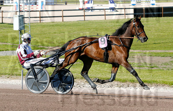 King Schermer heat 1.t60d06bf2.m600.w.4salnwmark2.png.xI4nTOt2l.jpg