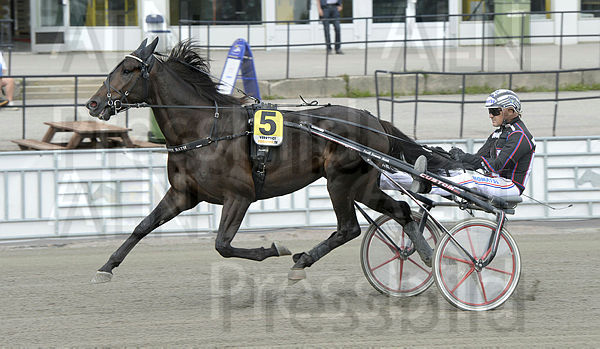 Cash Winner heat.t611688a8.m600.w.4salnwmark2.png.xia2vfAkO (1).jpg