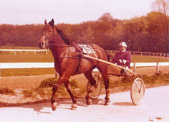 Osmond 01.jpg
