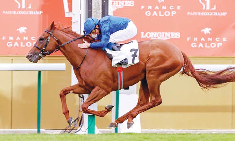 Horse-Racing.jpg