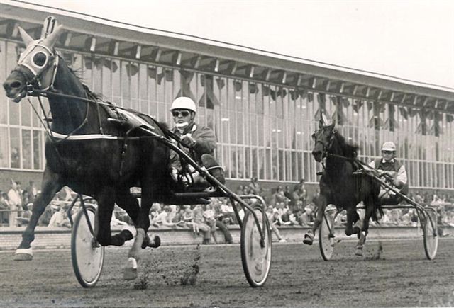 Trust Skoatter Hsum (1).jpg