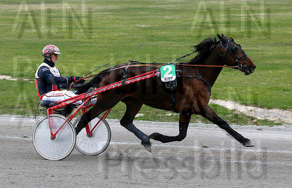 Josef Palema heat 1.t5a5a7345.m600.w.4salnwmark2.png.xJuacX5Ls.jpg