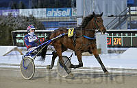 Viking Of Love heat.t640a492a.m200.w.4salnwmark2.png.x5P8cT6U5.jpg