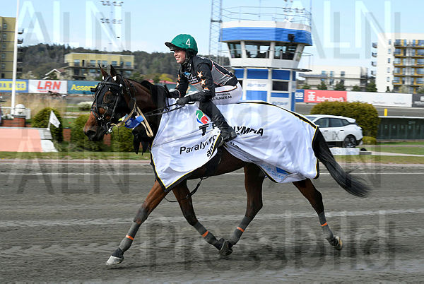 Boston Terrie def 1.t6276de24.m600.w.4salnwmark2.png.xxSM00PSc.jpg