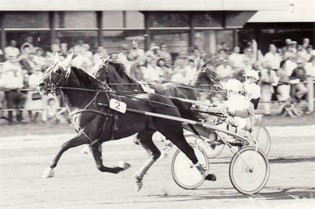 Limbus Hanover Fletcher D (1).jpg